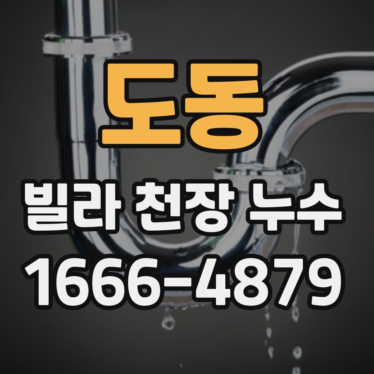 도동 빌라 천장 누수
