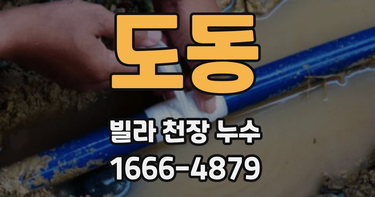 도동 빌라 천장 누수