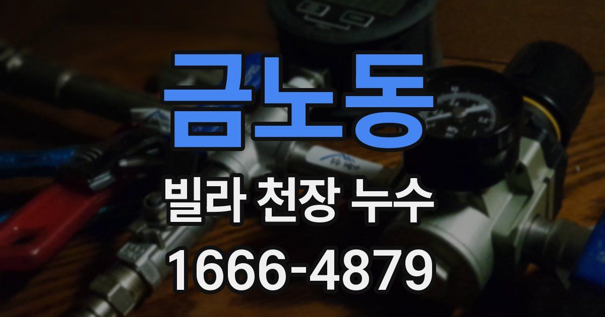 금노동 빌라 천장 누수