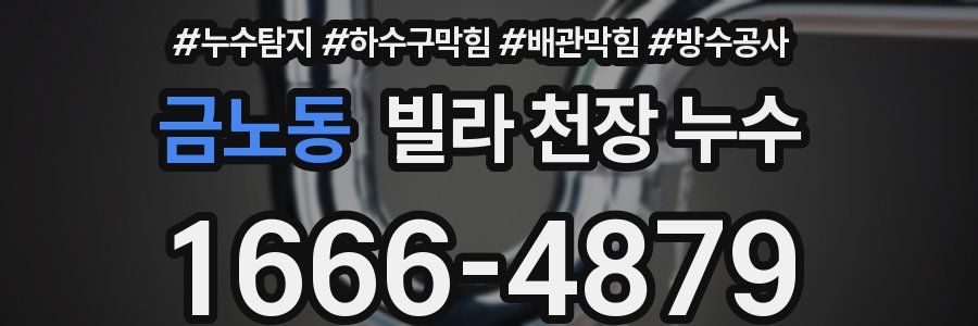 금노동 빌라 천장 누수