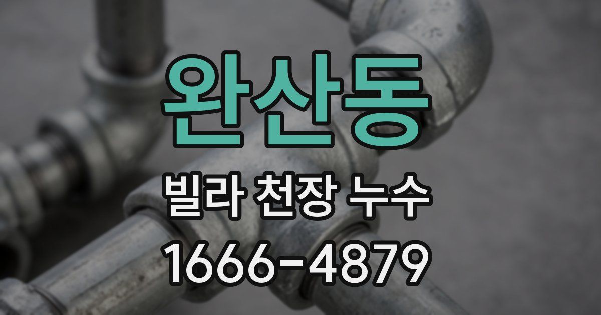 완산동 빌라 천장 누수