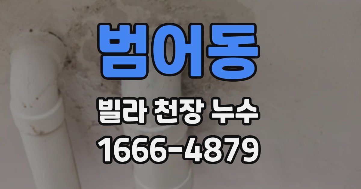 범어동 빌라 천장 누수