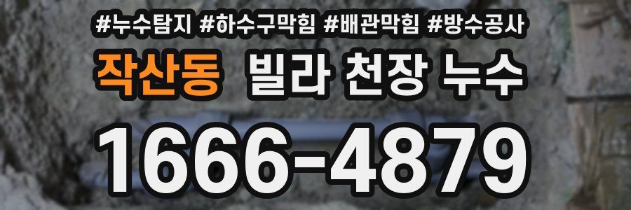 작산동 빌라 천장 누수