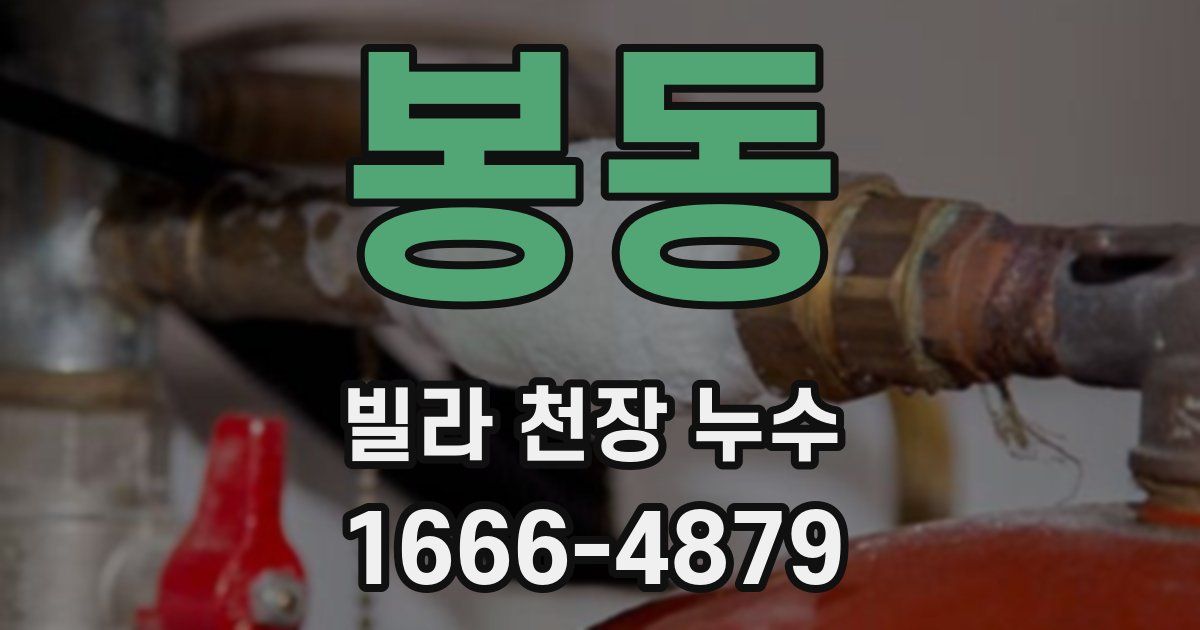 봉동 빌라 천장 누수
