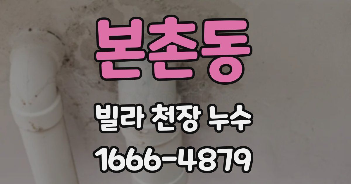 본촌동 빌라 천장 누수