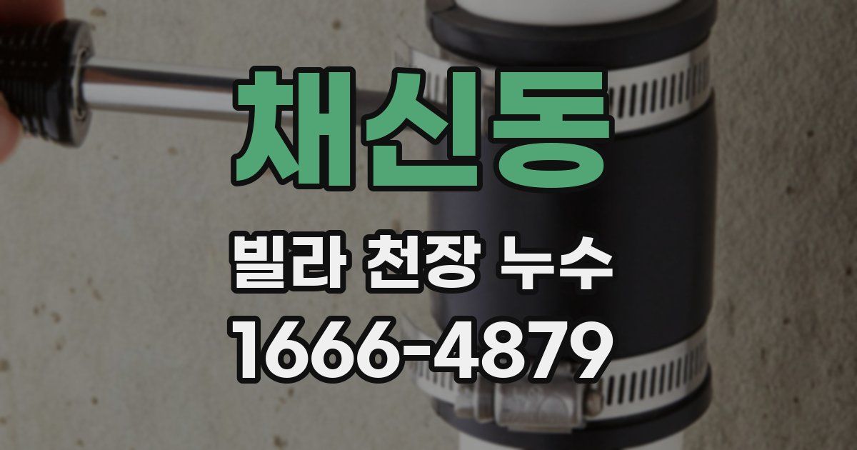 채신동 빌라 천장 누수