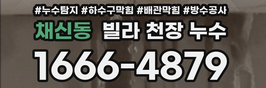 채신동 빌라 천장 누수