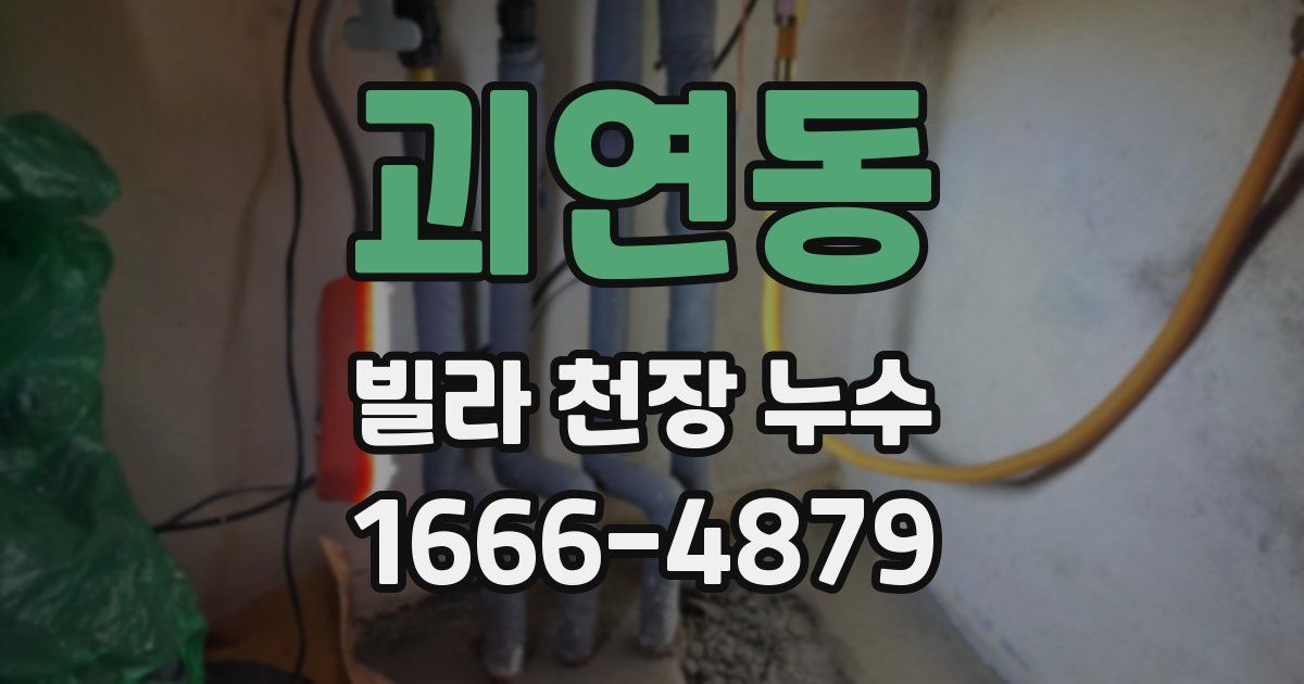 괴연동 빌라 천장 누수