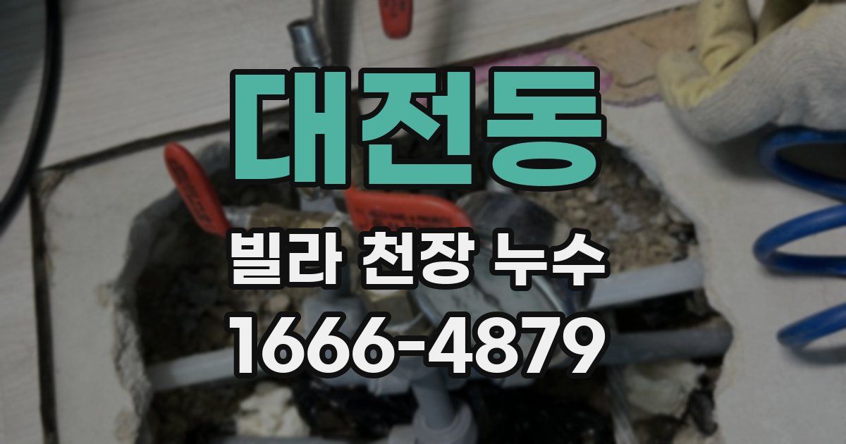 대전동 빌라 천장 누수