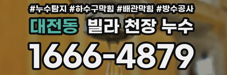 대전동 빌라 천장 누수