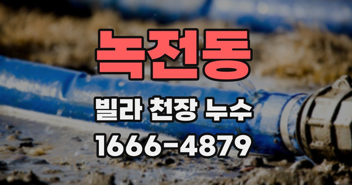 녹전동 빌라 천장 누수