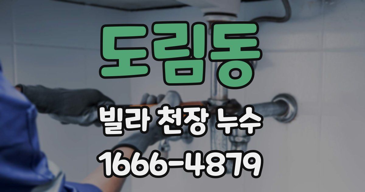 도림동 빌라 천장 누수