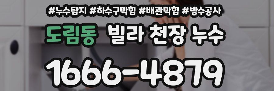 도림동 빌라 천장 누수