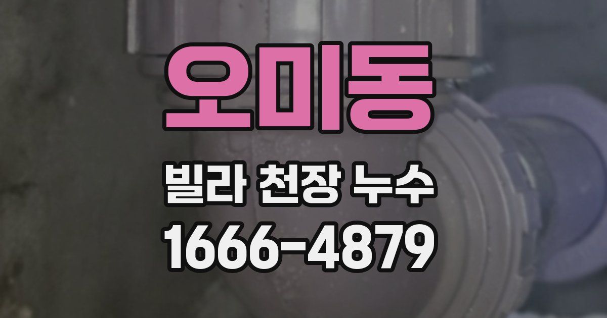 오미동 빌라 천장 누수