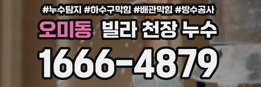 오미동 빌라 천장 누수