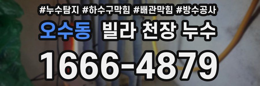 오수동 빌라 천장 누수