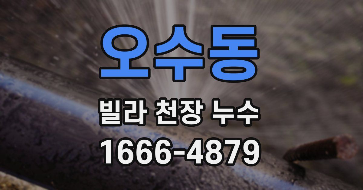 오수동 빌라 천장 누수