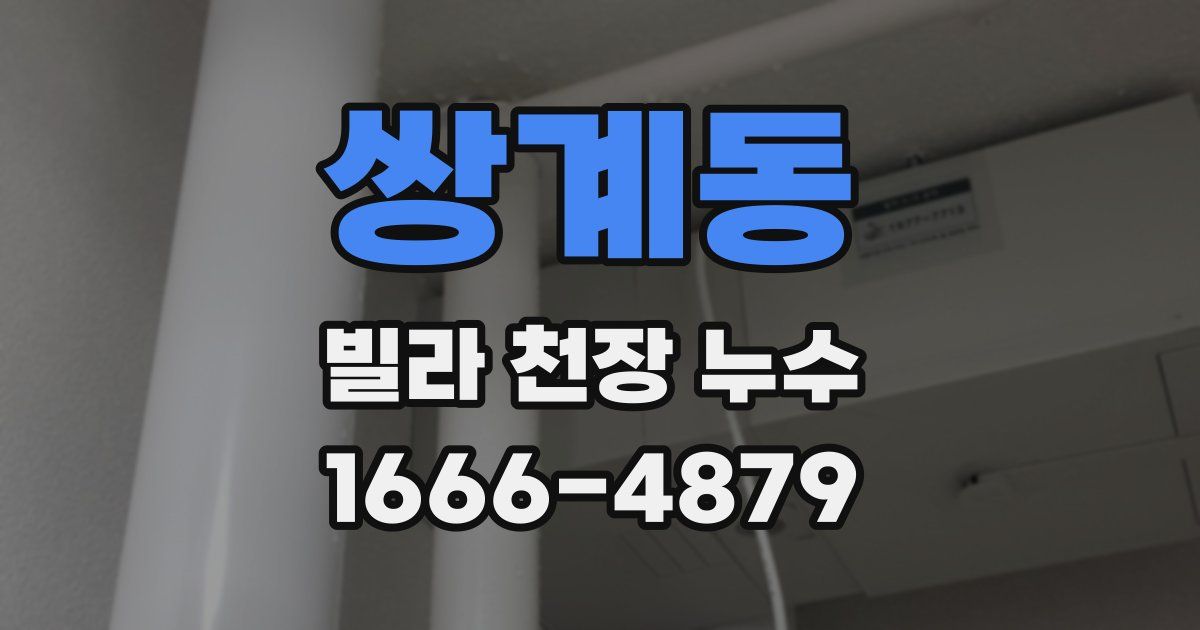 쌍계동 빌라 천장 누수