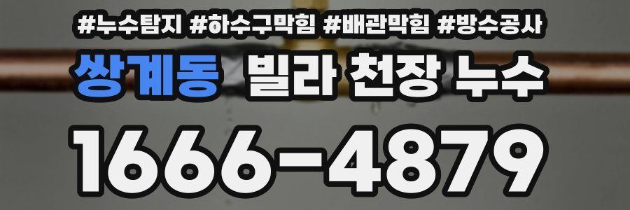 쌍계동 빌라 천장 누수