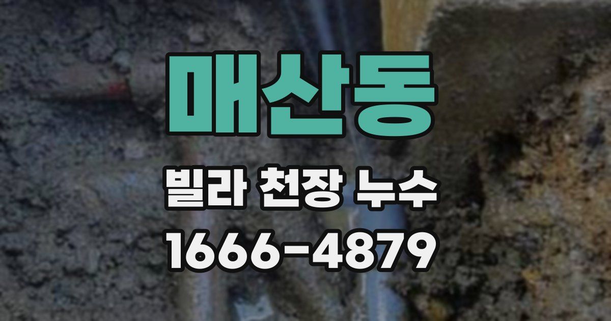 매산동 빌라 천장 누수