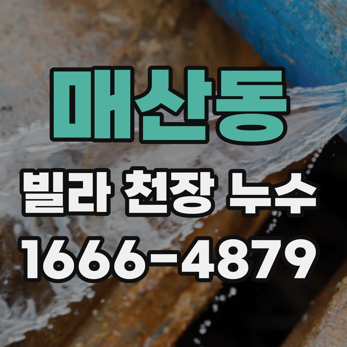 매산동 빌라 천장 누수