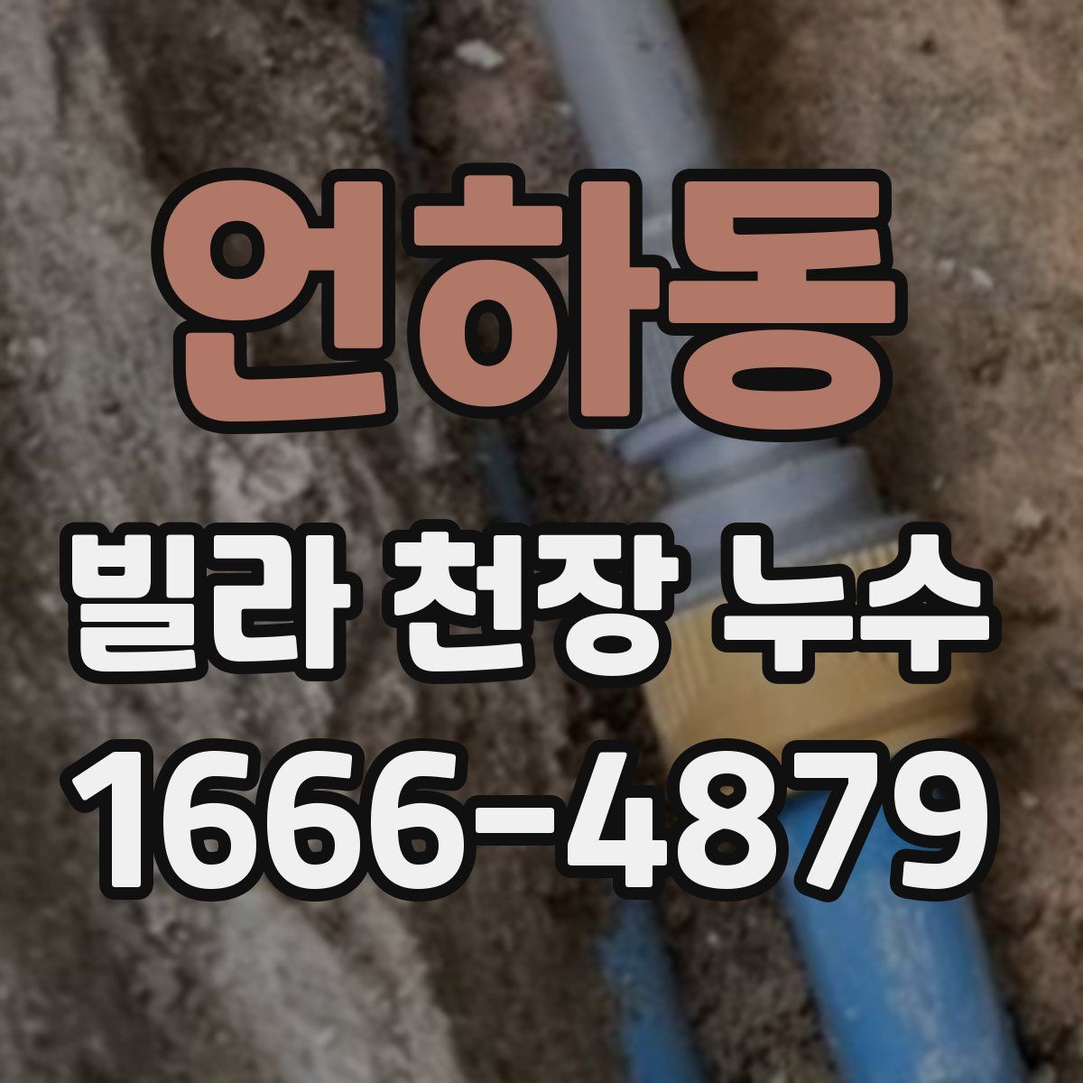 언하동 빌라 천장 누수