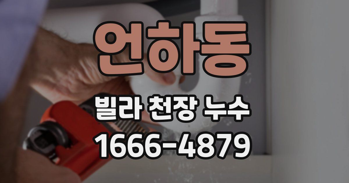 언하동 빌라 천장 누수