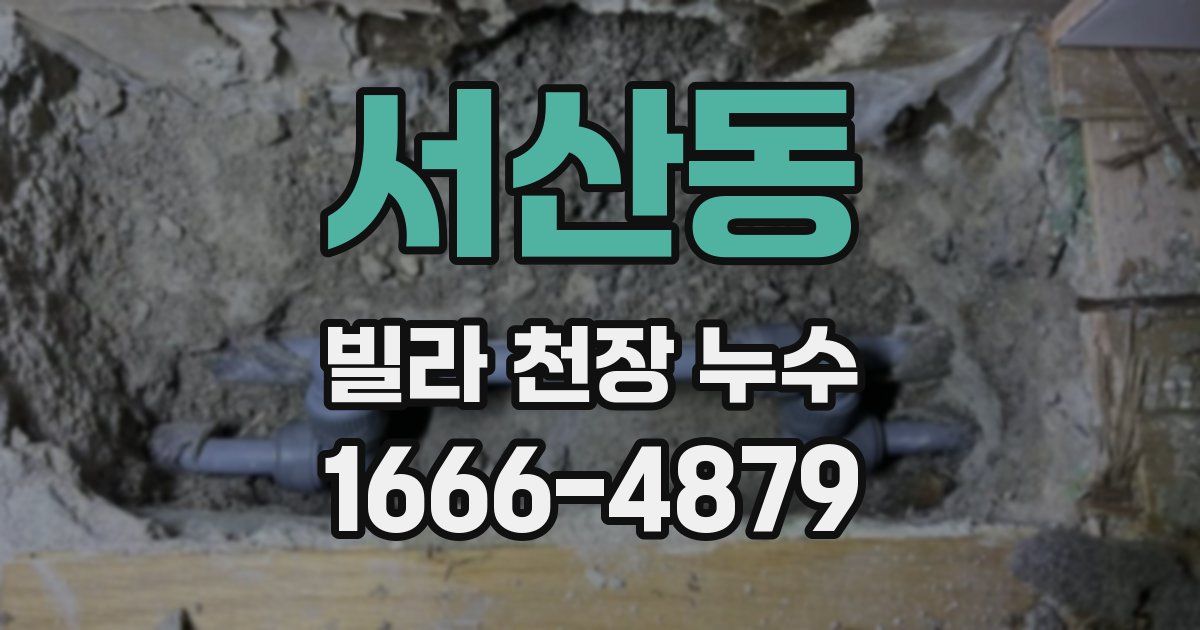 서산동 빌라 천장 누수