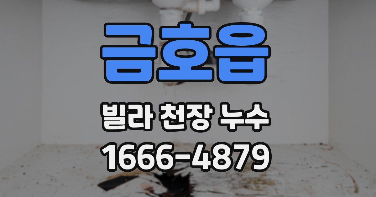 금호읍 빌라 천장 누수