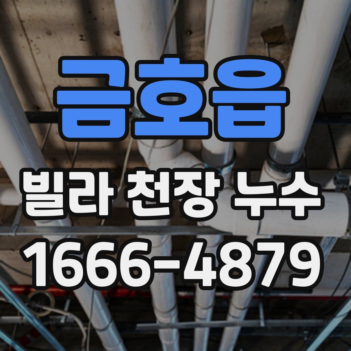 금호읍 빌라 천장 누수