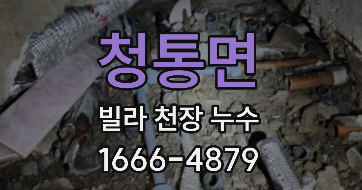 청통면 빌라 천장 누수