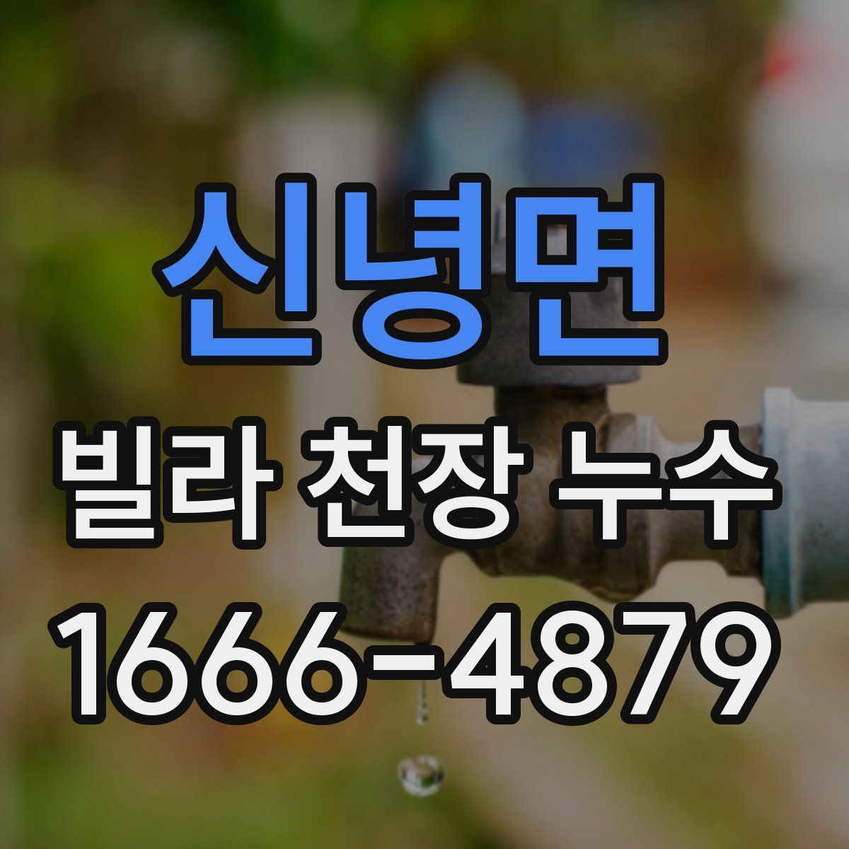 신녕면 빌라 천장 누수