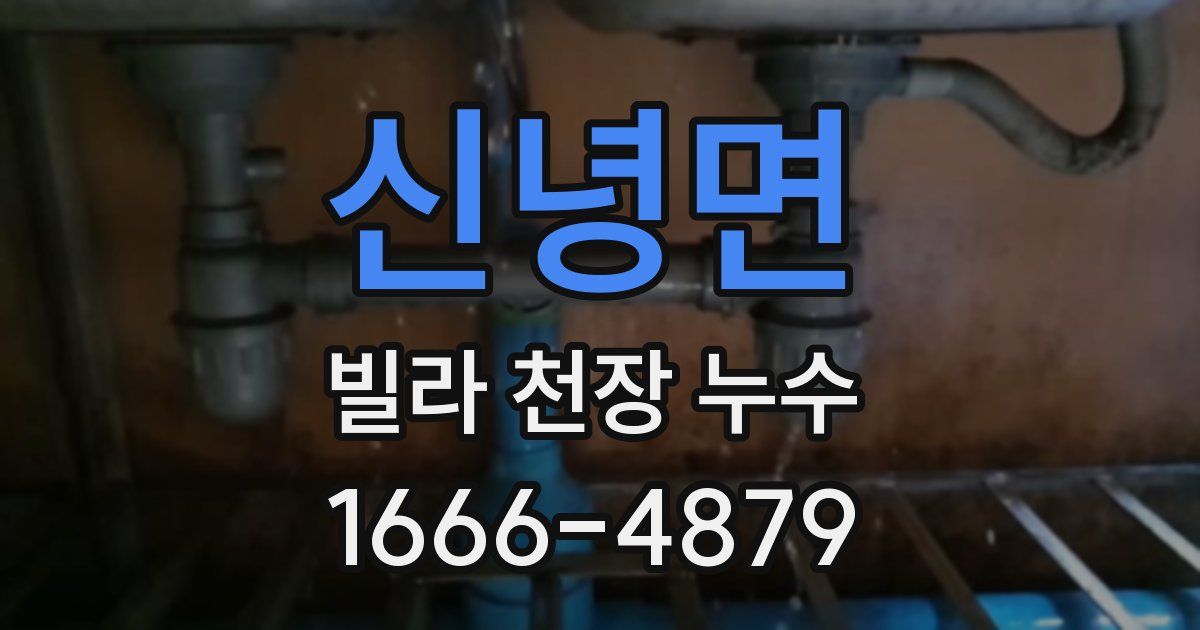 신녕면 빌라 천장 누수
