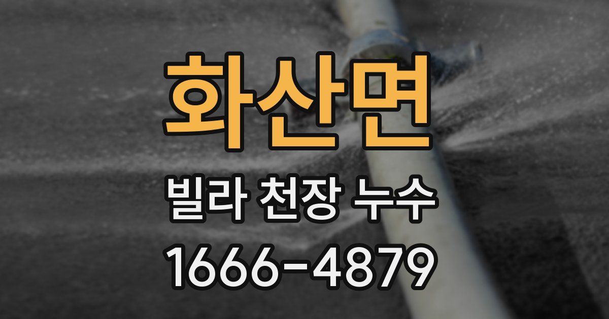 화산면 빌라 천장 누수