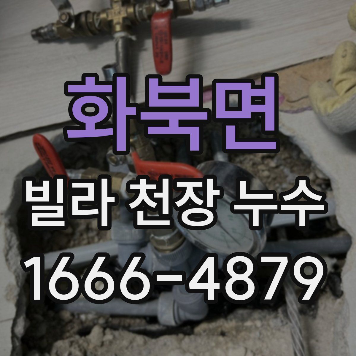 화북면 빌라 천장 누수