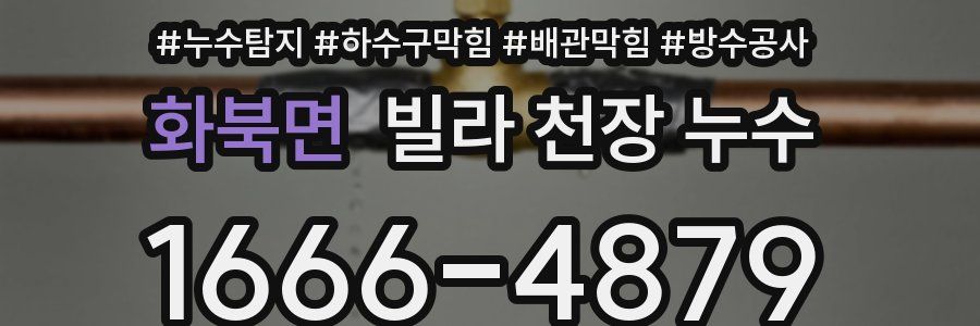 화북면 빌라 천장 누수