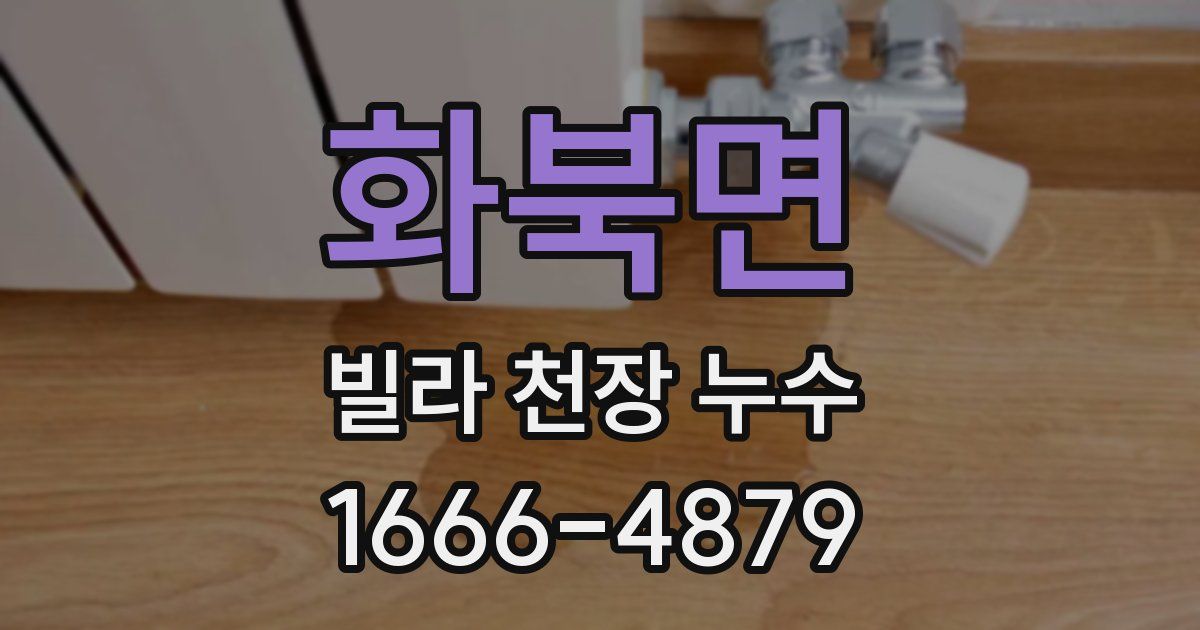 화북면 빌라 천장 누수