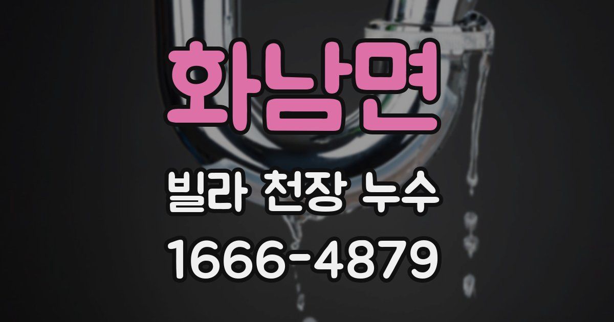 화남면 빌라 천장 누수