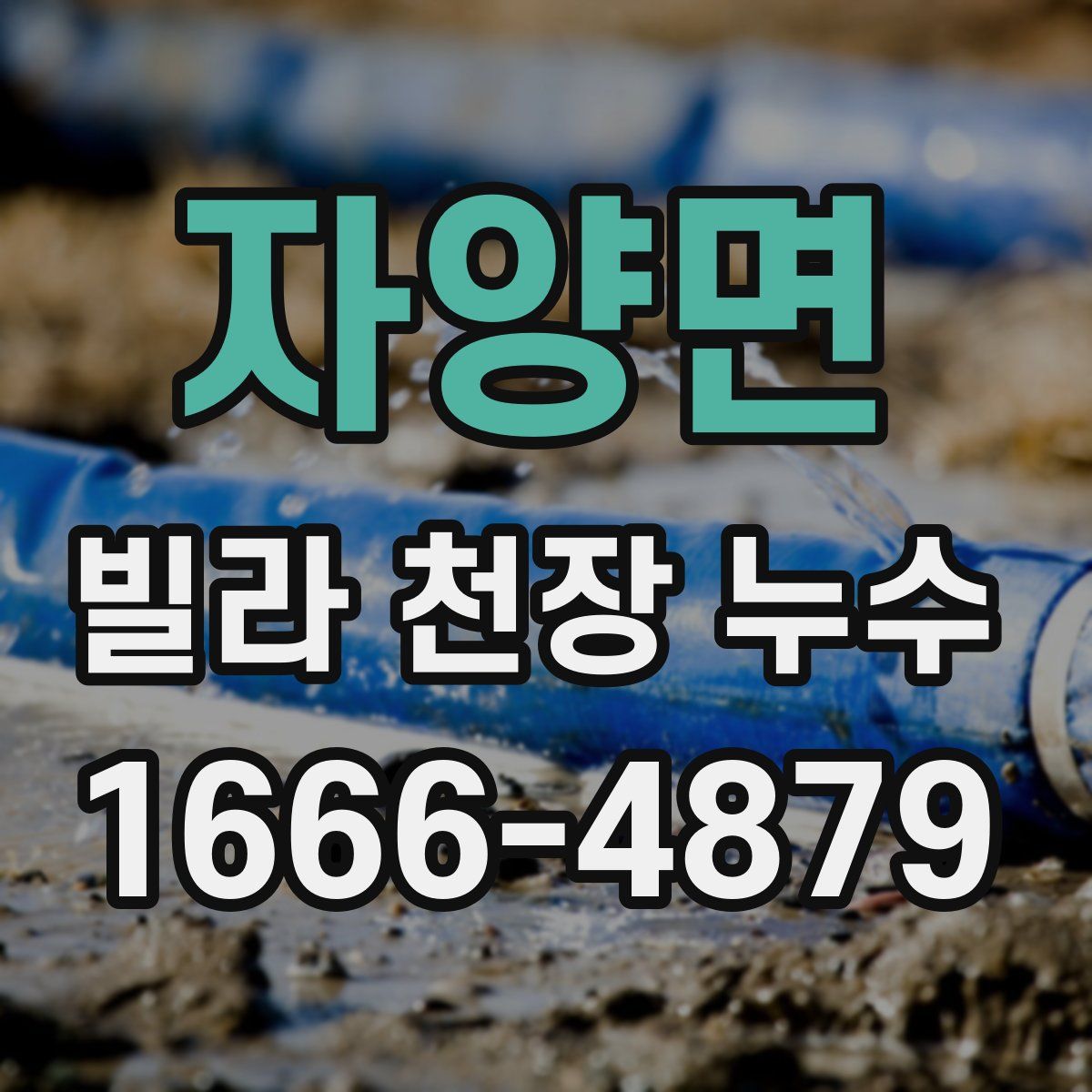 자양면 빌라 천장 누수