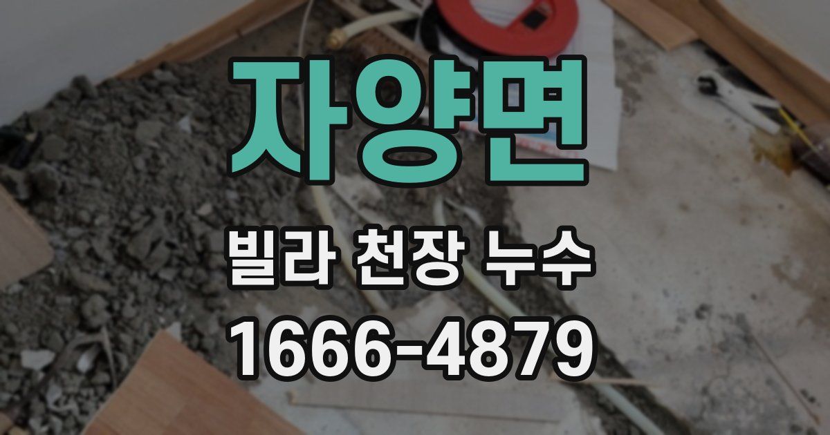자양면 빌라 천장 누수