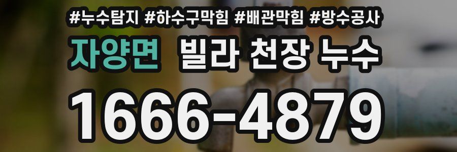 자양면 빌라 천장 누수