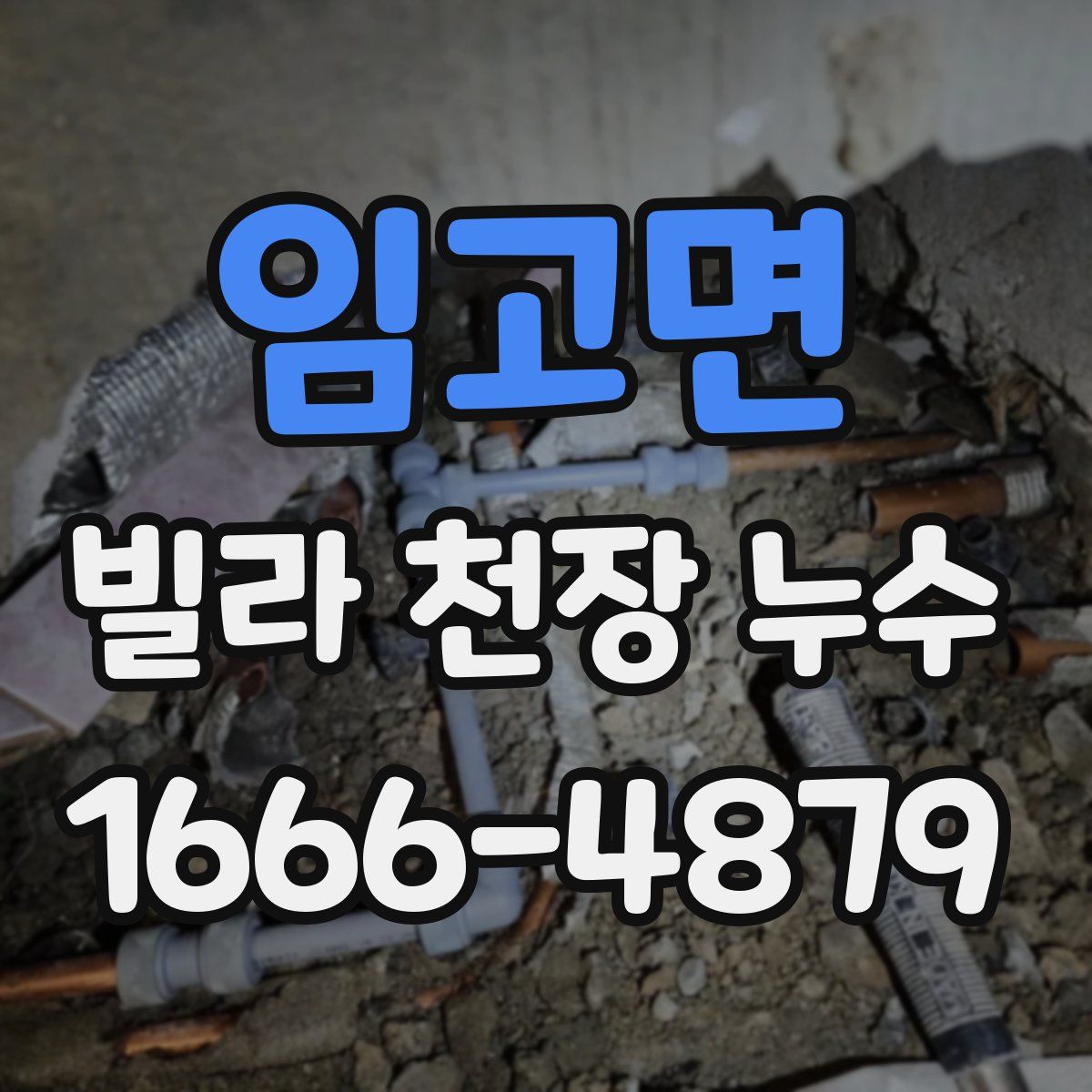 임고면 빌라 천장 누수