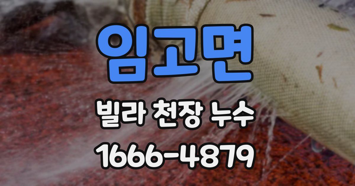 임고면 빌라 천장 누수