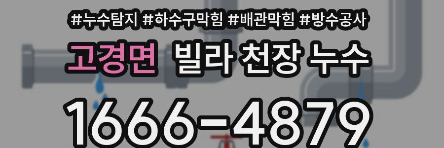 고경면 빌라 천장 누수