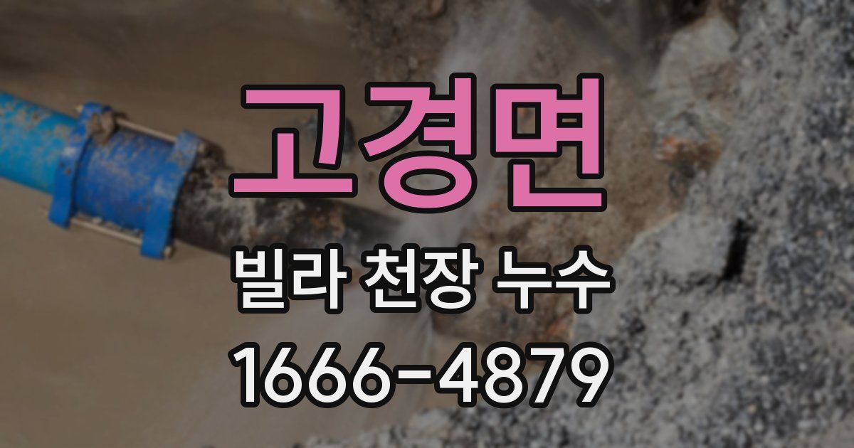 고경면 빌라 천장 누수