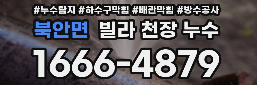 북안면 빌라 천장 누수
