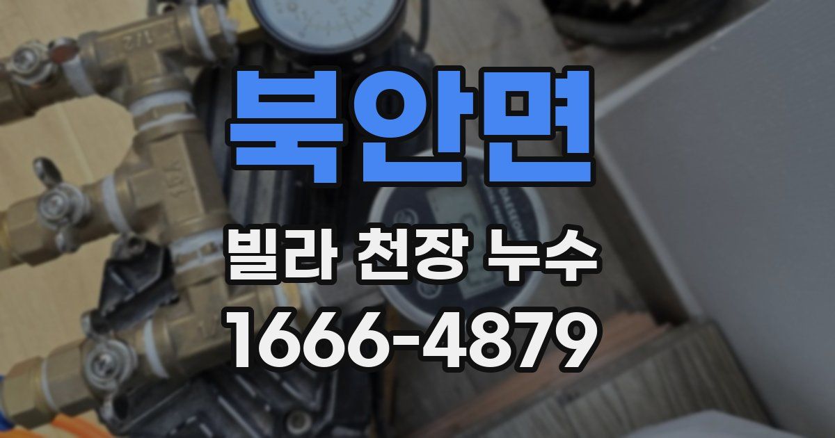북안면 빌라 천장 누수