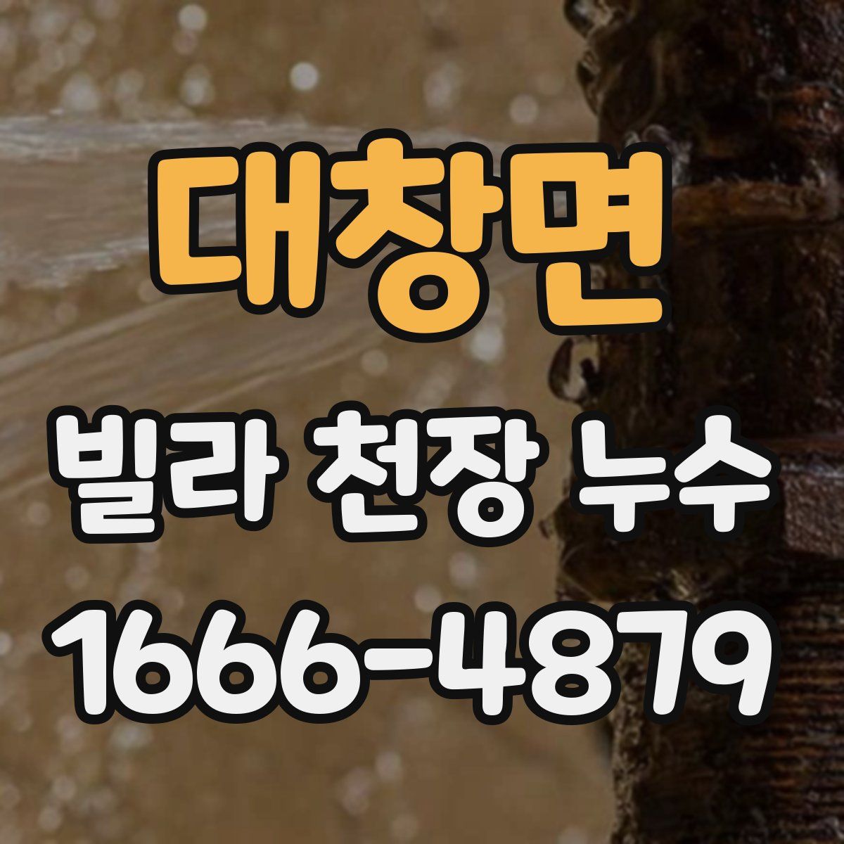 대창면 빌라 천장 누수