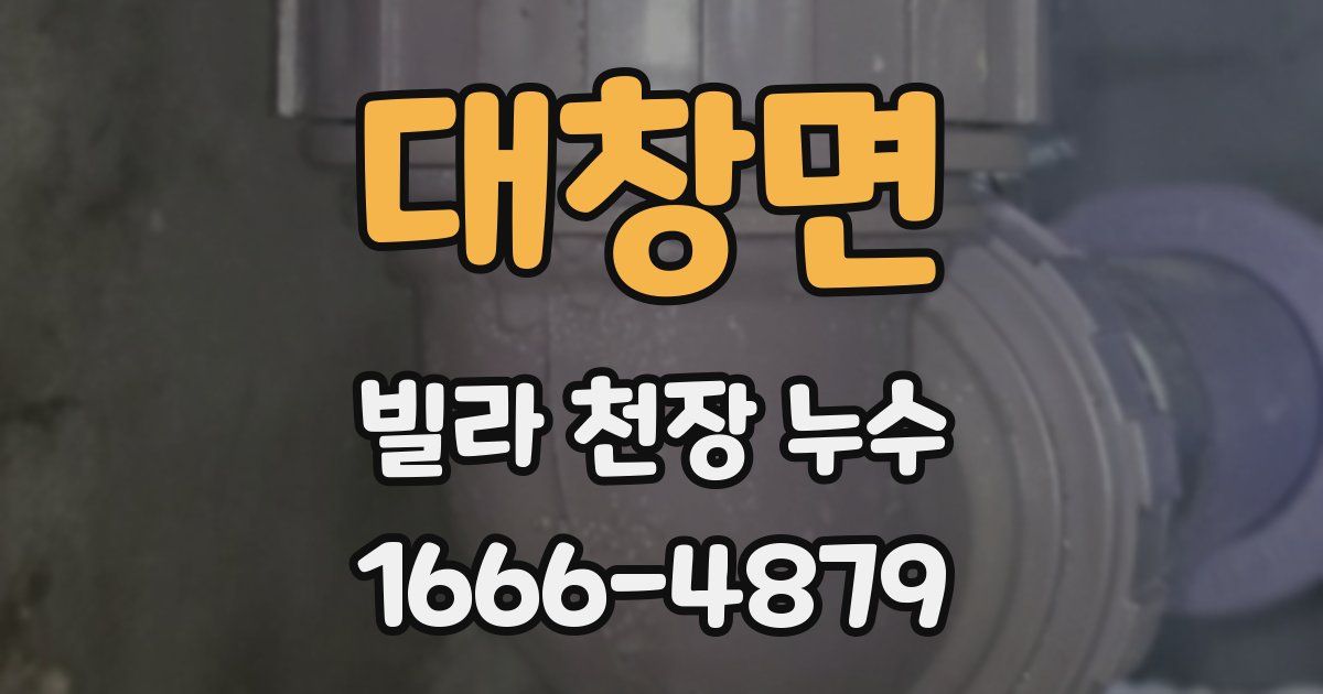 대창면 빌라 천장 누수