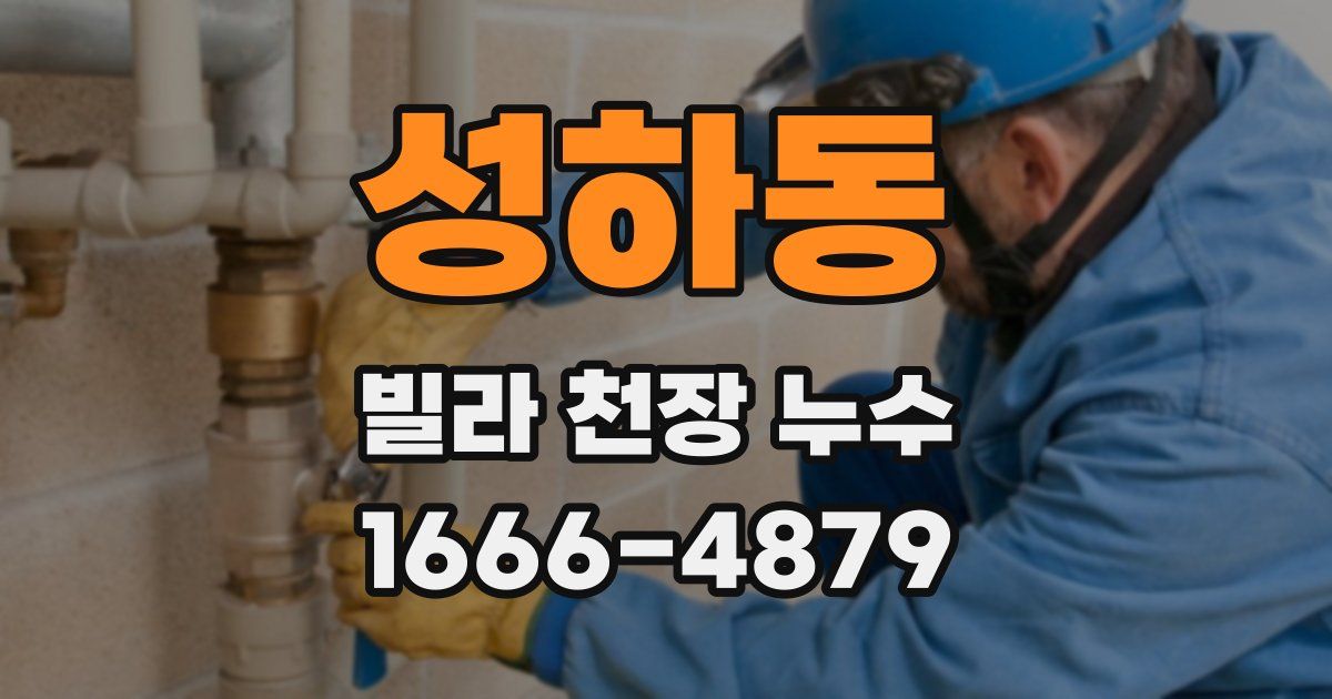 성하동 빌라 천장 누수